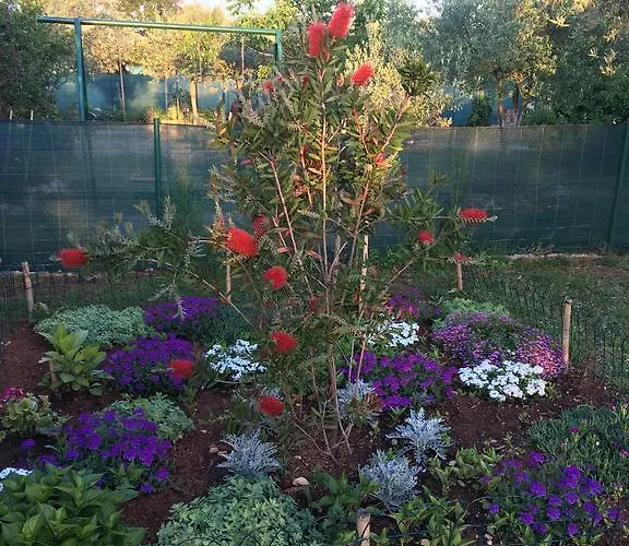 Le Punte Σπίτι διακοπών