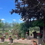 Le Punte Rovinj
